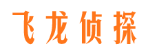 陵县市私人调查